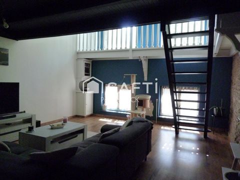 photo no. 6