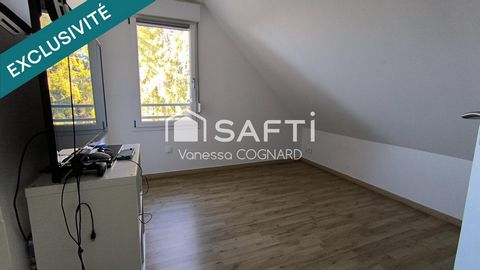 photo no. 13