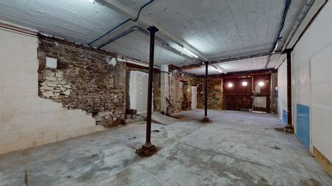 photo no. 18