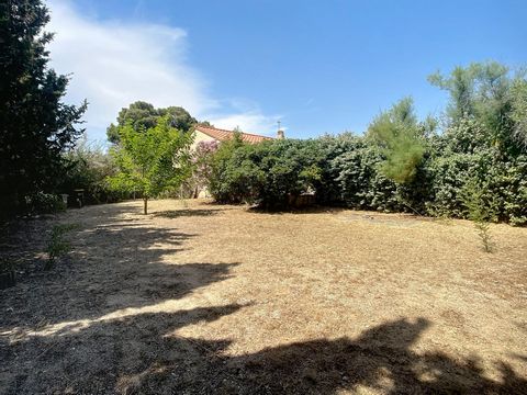 photo no. 8