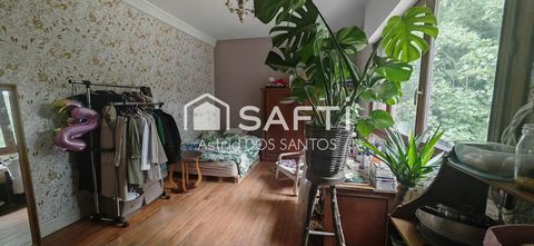 photo no. 14