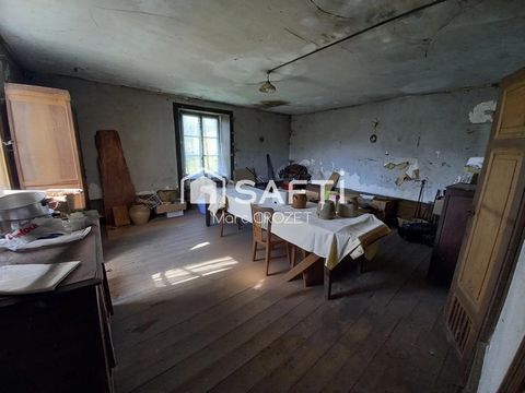 photo no. 4