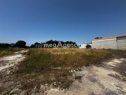 photo no. 6