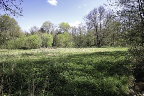 photo no. 19
