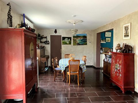 photo no. 6