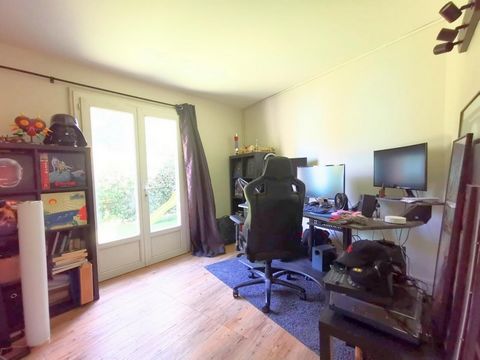 photo no. 5
