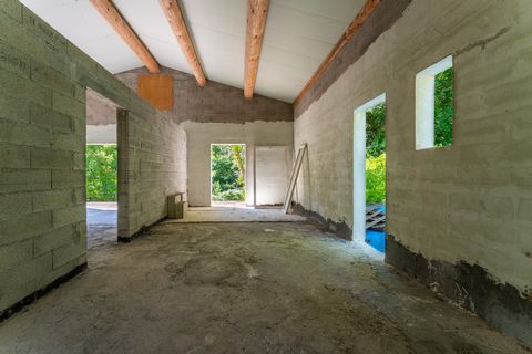 photo no. 10