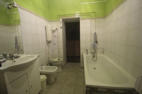 photo no. 7