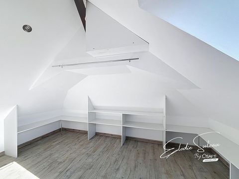 photo no. 11