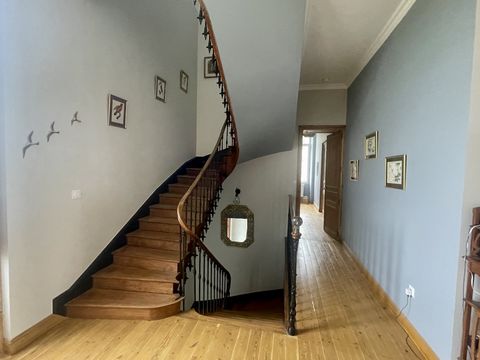 photo no. 8