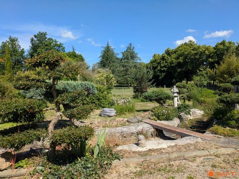 photo no. 13