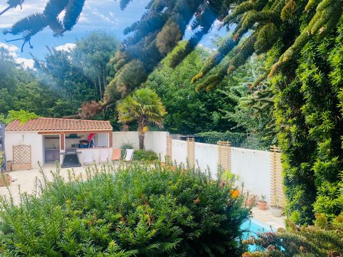 photo no. 12