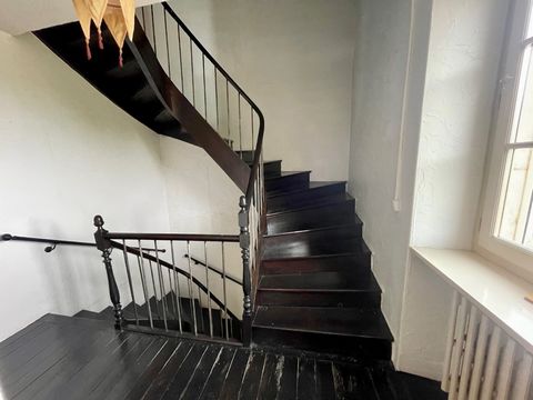 photo no. 8