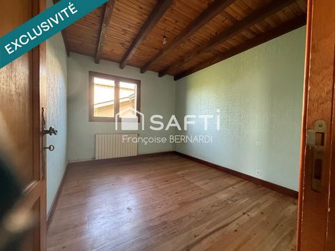 photo no. 11