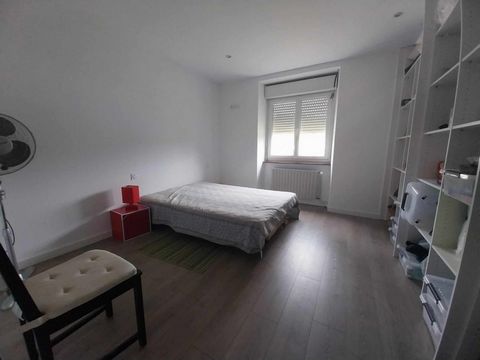 photo no. 6