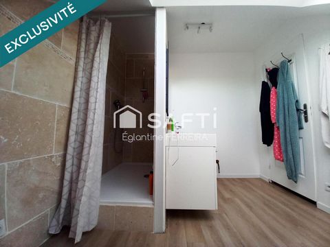 photo no. 17