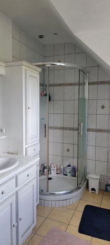 photo no. 11