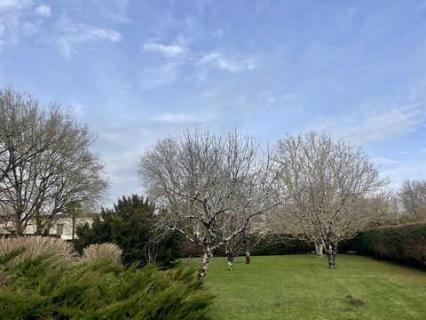 photo no. 15