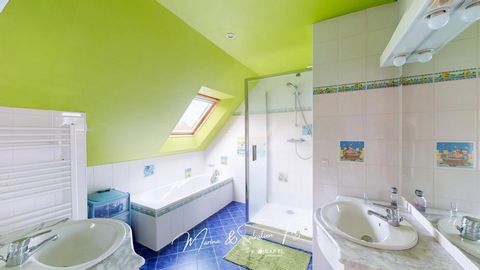 photo no. 12