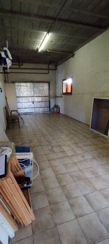 photo no. 8