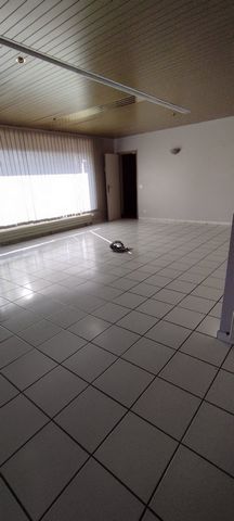 photo no. 10