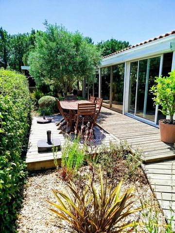 photo no. 19