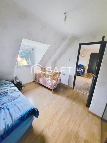 photo no. 13