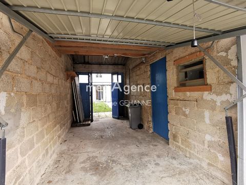 photo no. 15
