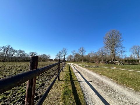 photo no. 8