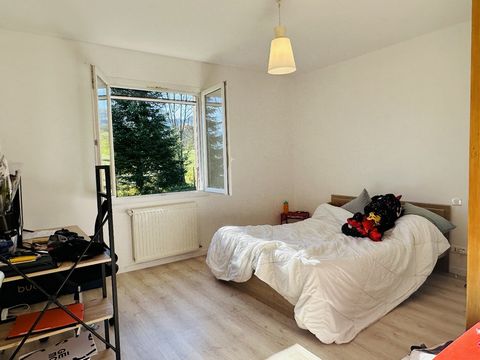 photo no. 7