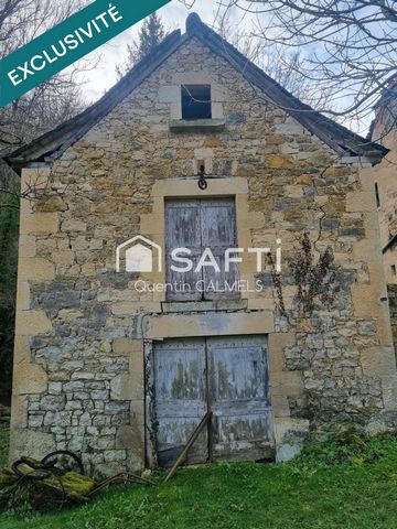 photo no. 5