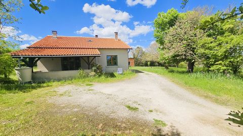 photo no. 1