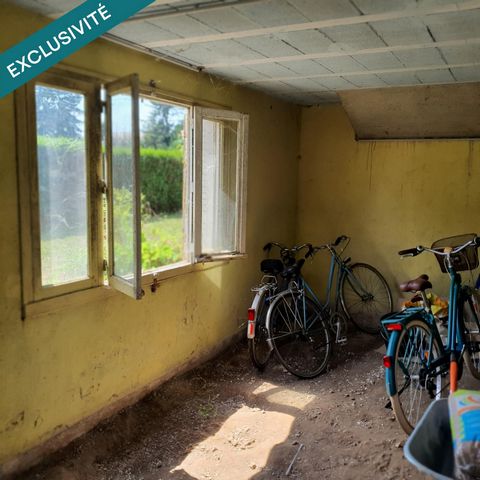 photo no. 11