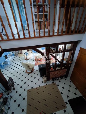 photo no. 11