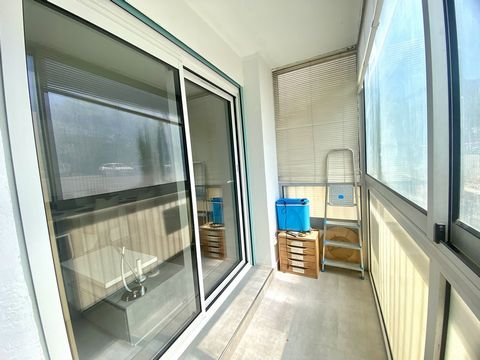 photo no. 6