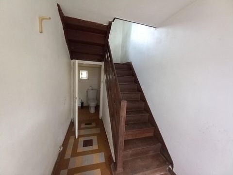 photo no. 6