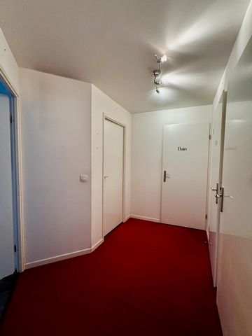 photo no. 4