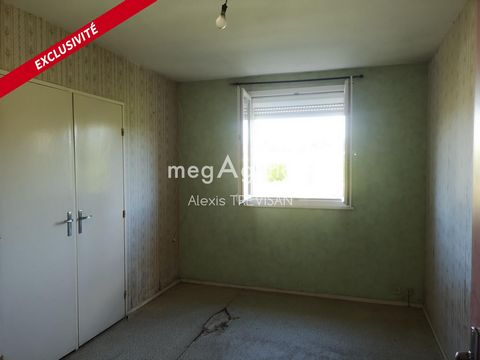 photo no. 6