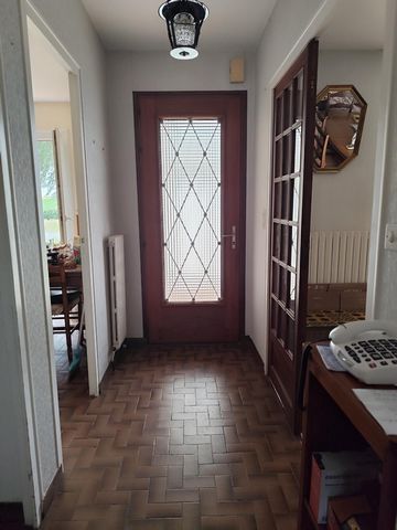 photo no. 10