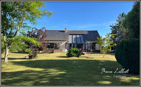 Maison à vendre 8 pièces, Pithiviers le Vieil, 4 Chambres dont 3 en RDC, Hangar, Sous sol, Piscine