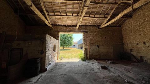 photo no. 12