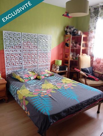 photo no. 11