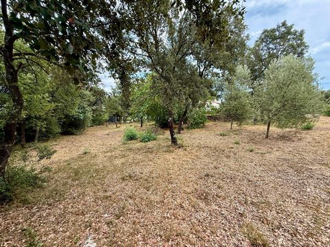 VILLA 5 PIECES 131 M2 TERRAIN 2666M2 GARAGE PISCINE