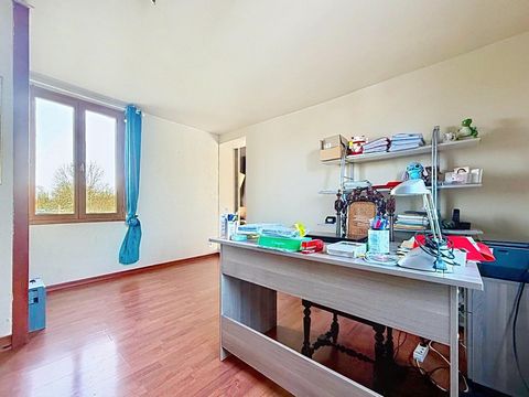 photo no. 12