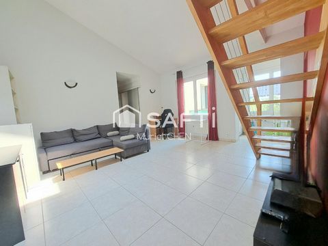 photo no. 17