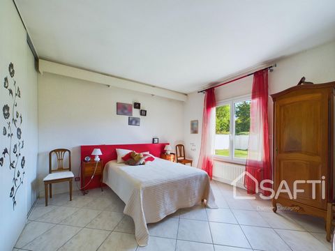 photo no. 11