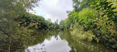 photo no. 17