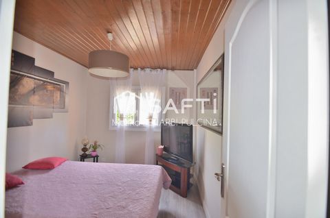 photo no. 9