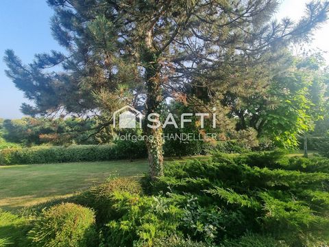 photo no. 12