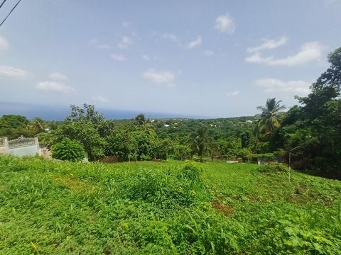 photo no. 2